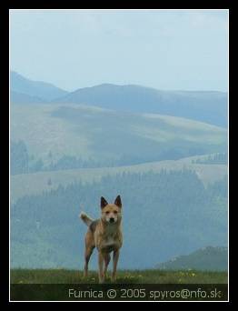 Rumunsko | Bucegi (Bu?egi) | Furnica (Furnika)