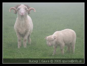 Rumunsko | Bucegi (Bu?egi) | dolina Gaura